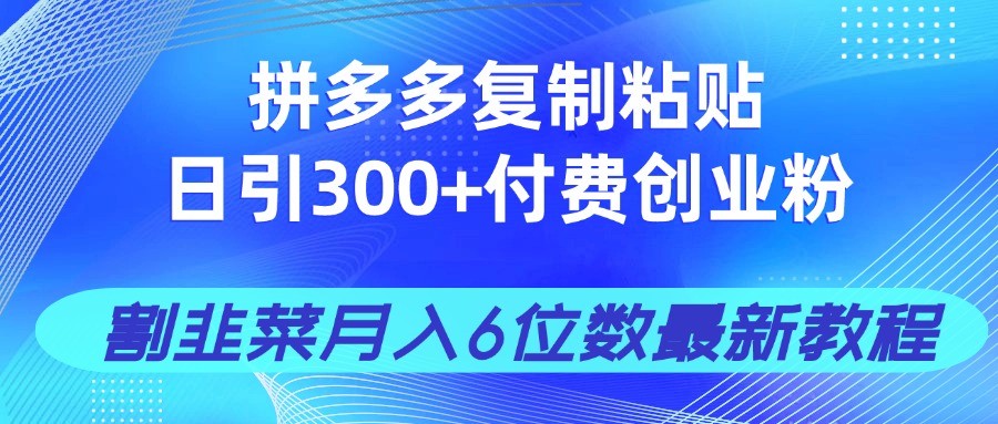 拼多多复制粘贴日引300+付费创业粉，割韭菜月入6位数最新教程！-优创项目网
