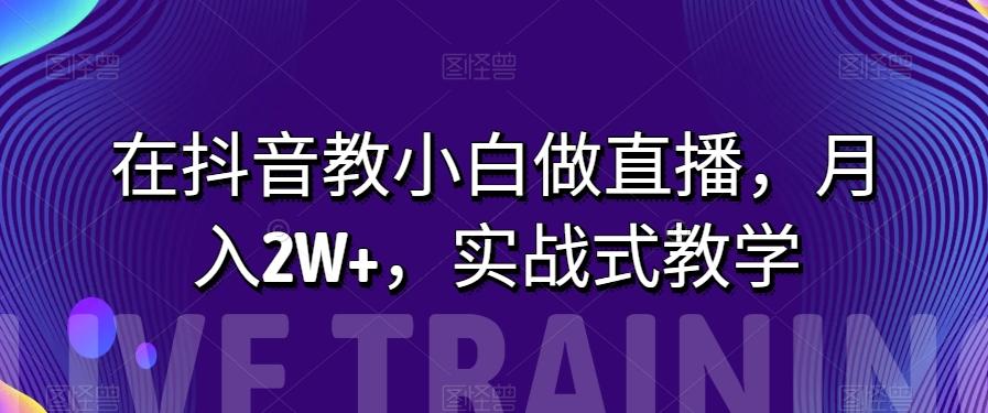 在抖音教小白做直播，月入2W+，实战式教学【揭秘】-优创项目网