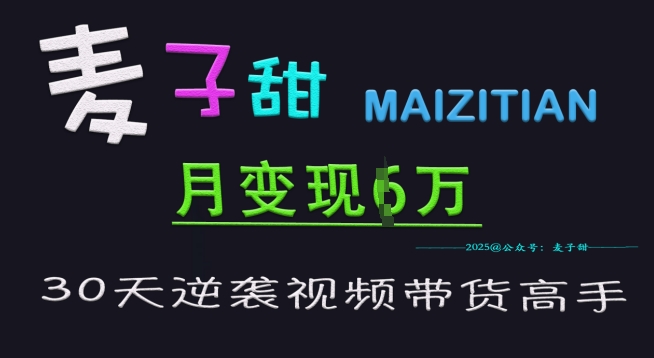 麦子甜30天逆袭视频带货高手，单月变现6W加特训营-优创项目网