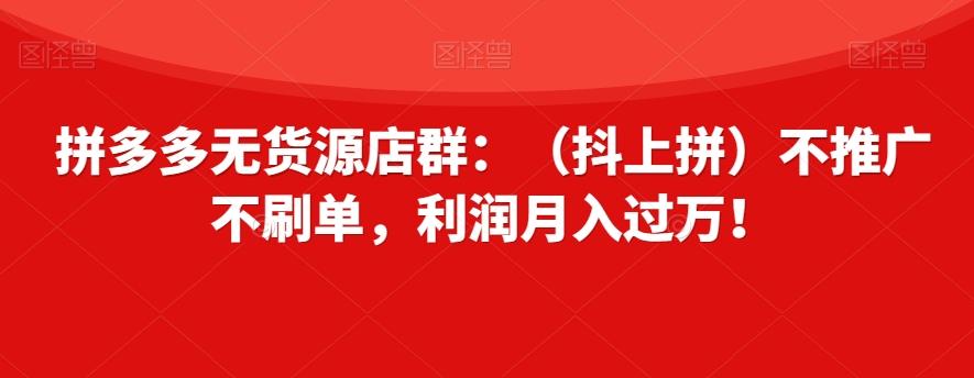 拼多多无货源店群：（抖上拼）不推广不刷单，利润月入过万！【揭秘】-优创项目网