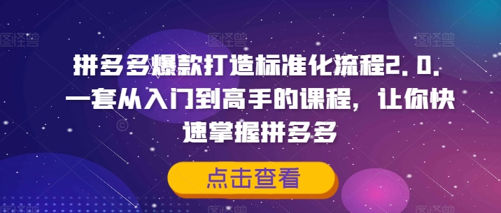 拼多多爆款打造标准化流程2.0，一套从入门到高手的课程，让你快速掌握拼多多-优创项目网