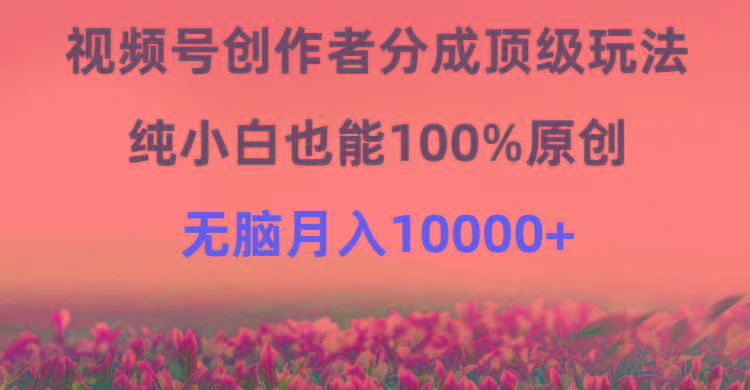 (9608期)视频号创作者分成顶级玩法，纯小白也能100%原创，无脑月入10000+-优创项目网