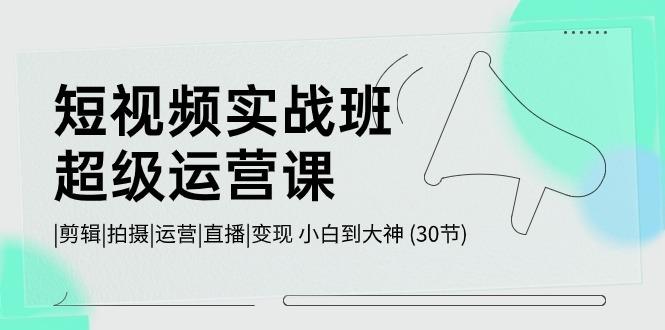 短视频实战班超级运营课 |剪辑|拍摄|运营|直播|变现 小白到大神 (30节)-优创项目网