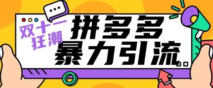 【首发】双十一拼多多暴力引流，日引300+微信-优创项目网