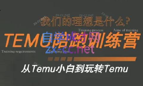 苗苗·拼多多跨境（temu）课程-优创项目网