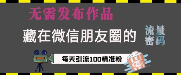 藏在微信朋友圈的流量密码，无需发布作品，单日引流100+精准创业粉【揭秘】-优创项目网