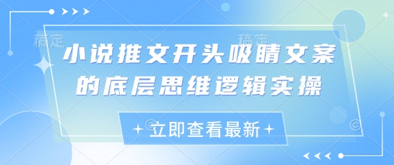 小说推文开头吸睛文案的底层思维逻辑实操-优创项目网