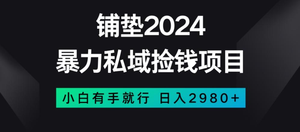 暴力私域捡钱项目，小白无脑操作，日入2980【揭秘】-优创项目网