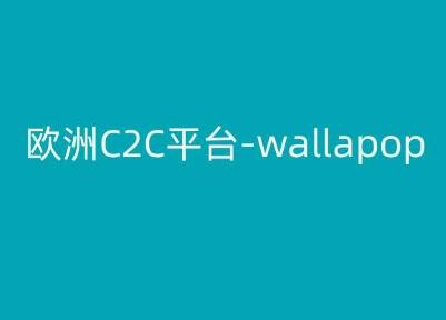 欧洲C2C平台-wallapop-kim跨境电商教程-优创项目网