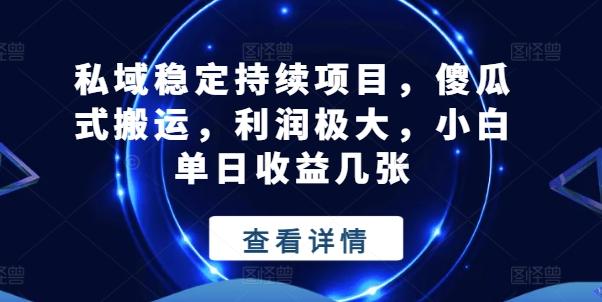 私域稳定持续项目，傻瓜式搬运，利润极大，小白单日收益几张【揭秘】-优创项目网