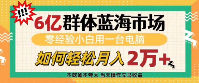 6亿群体蓝海市场，零经验小白用一台电脑，如何轻松月入过w【揭秘】-优创项目网