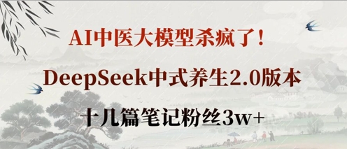 AI中医大模型杀疯了！DeepSeek中式养生2.0版本，十几篇笔记粉丝3w+-优创项目网