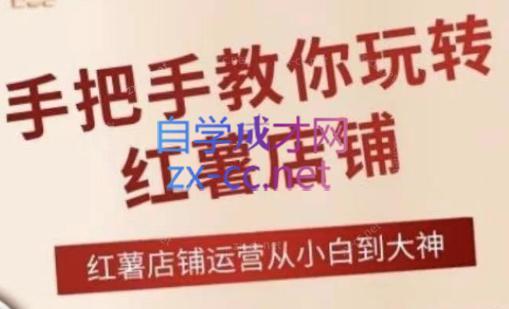 海燕老师·2024手把手教你玩转红薯店铺-优创项目网