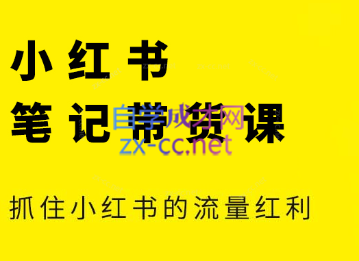 张宾·小红书笔记带货课(更新24年7月)-优创项目网
