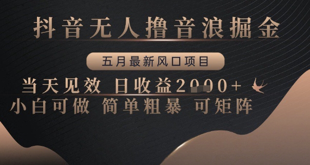抖音无人撸音浪掘金，五月最新风口项目，当天见效，日收益多张，小白可做简单粗暴可矩阵【揭秘】-优创项目网