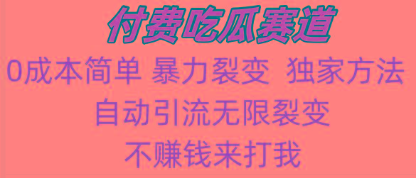 吃瓜付费赛道，暴力无限裂变，0成本，实测日入700+！！！-优创项目网