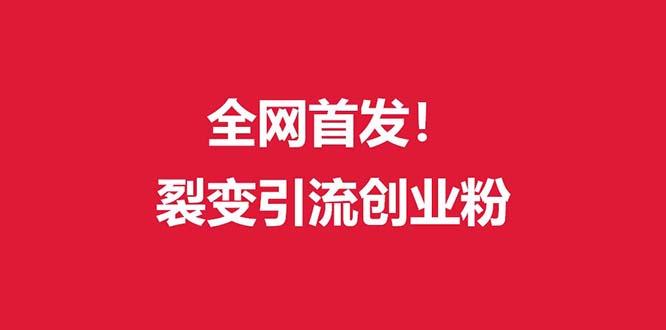 (全网首发)外面收费几千的裂变引流高质量创业粉-优创项目网