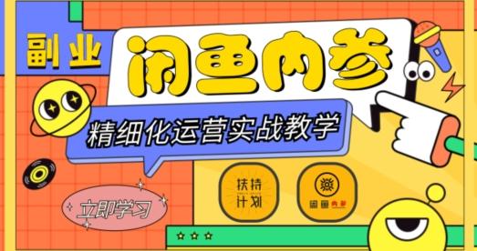 闲鱼精细化运营入门+高阶实战教学，从底层逻辑到轻松变现，多维度玩转闲鱼副业-优创项目网