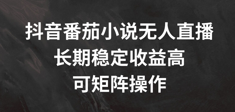 抖音番茄小说无人直播，长期稳定收益高，可矩阵操作【揭秘】-优创项目网