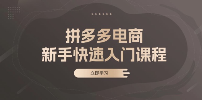 拼多多电商新手快速入门课程：涵盖基础、实战与选款，助力小白轻松上手-优创项目网