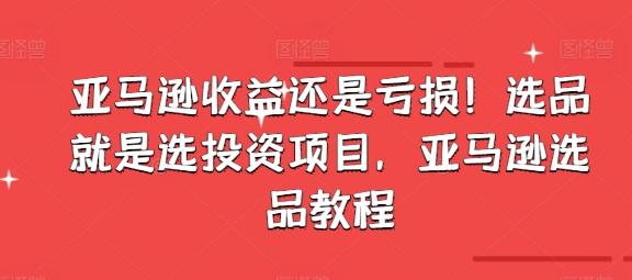 亚马逊收益还是亏损！选品就是选投资项目，亚马逊选品教程-优创项目网