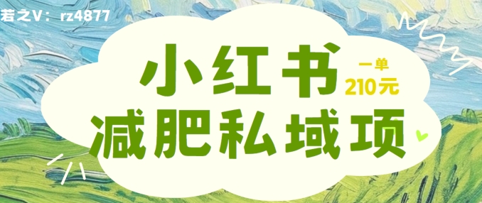 小红书减肥粉，私域变现项目，一单就达210元，小白也能轻松上手【揭秘】-优创项目网