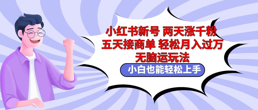 小红书新号两天涨千粉五天接商单轻松月入过万 无脑搬运玩法 小白也能轻…-优创项目网