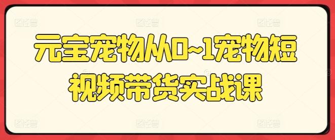 元宝宠物从0~1宠物短视频带货实战课-优创项目网