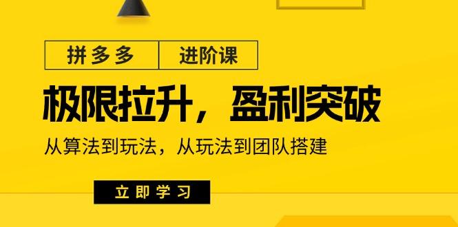 拼多多·进阶课：极限拉升/盈利突破：从算法到玩法 从玩法到团队搭建-18节-优创项目网