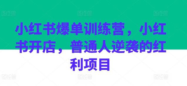 小红书爆单训练营，小红书开店，普通人逆袭的红利项目-优创项目网