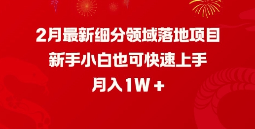 2月最新细分领域落地项目，新手小白也可快速上手，月入1W-优创项目网
