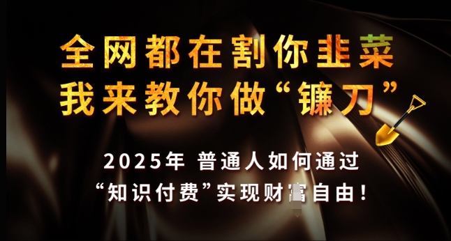 全网都在割你韭菜，我来教你做镰刀，2025年普通人如何通过 知识付费 实现财F自由【揭秘】-优创项目网