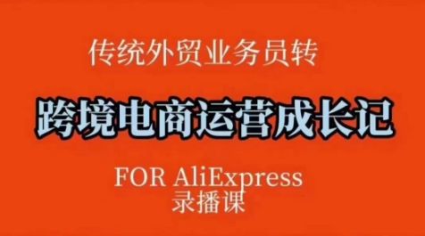 跨境电商速卖通运营课，​运营方法论+后台实操，逻辑清晰-优创项目网