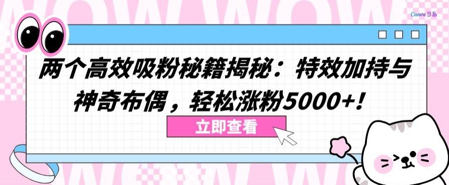 两个高效吸粉秘籍揭秘：特效加持与神奇布偶，轻松涨粉5000+【揭秘】-优创项目网