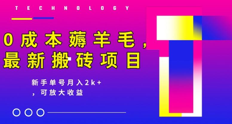 0成本薅羊毛，最新搬砖项目，新手单号月入2k+，可放大操作-优创项目网