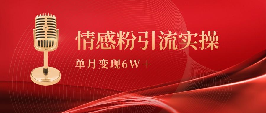 (9473期)单月变现6w+，情感粉引流变现实操课-优创项目网