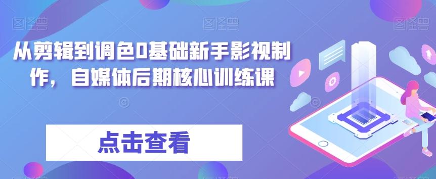 从剪辑到调色0基础新手影视制作，自媒体后期核心训练课-优创项目网