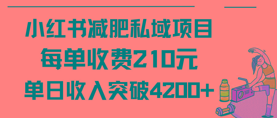 (9466期)小红书减肥私域项目每单收费210元单日成交20单，最高日入4200+-优创项目网