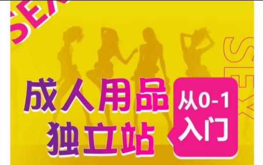 成人用品独立站从0-1入门，成品独立站运营全流程教学，七大好卖成品独立站推荐-优创项目网