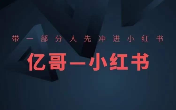 ​​带一部分人先冲进小红书，小红书开店、选品、爆款裂变-优创项目网