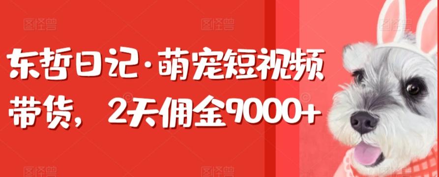 东哲日记·萌宠短视频带货，2天佣金9000+-优创项目网
