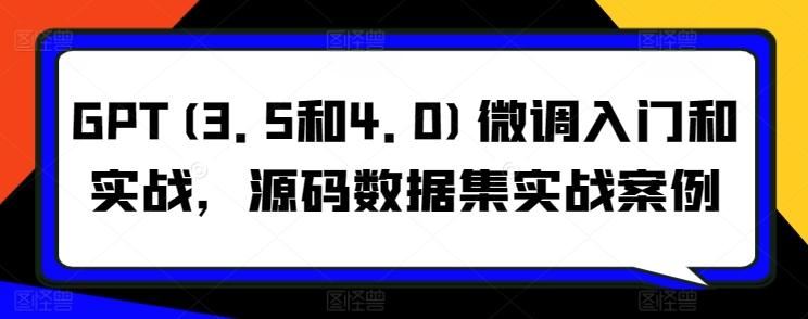 GPT(3.5和4.0)微调入门和实战，源码数据集实战案例-优创项目网