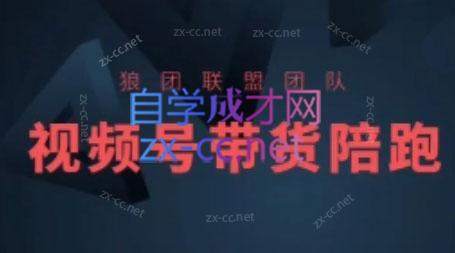 狼团联盟·2024视频号带货-优创项目网