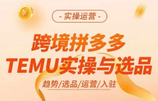 跨境拼多多TEMU实操与选品，多多temu跨境选品运营实操-优创项目网