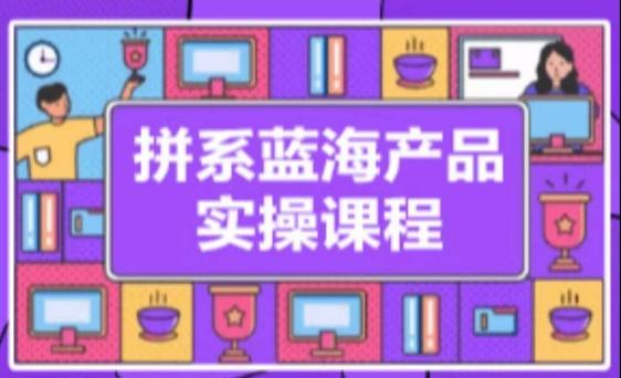 拼系冷门蓝海产品实操课程，从注册店铺到选品上架到流量维护环环相扣-优创项目网