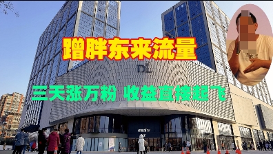 蹭胖东来流量，三天涨万粉，收益直接起飞-优创项目网