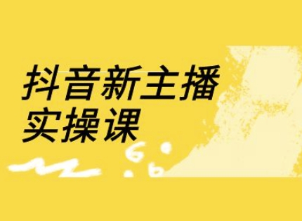 抖音新主播实操课，直播间流量运营线上实操课(18节)-优创项目网