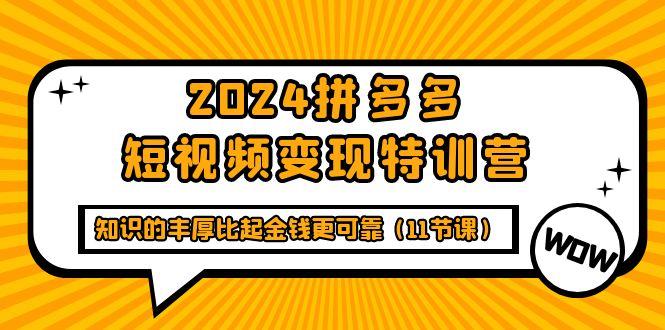 (9817期)2024拼多多短视频变现特训营，知识的丰厚比起金钱更可靠(11节课)-优创项目网