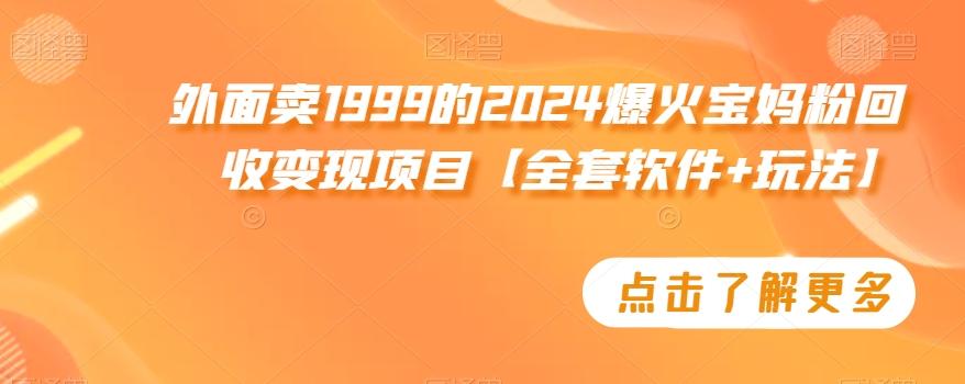 外面卖1999的2024爆火宝妈粉回收变现项目【全套软件+玩法】【揭秘】-优创项目网