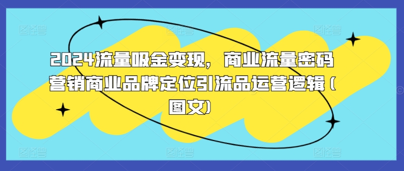 2024流量吸金变现，商业流量密码营销商业品牌定位引流品运营逻辑(图文)-优创项目网